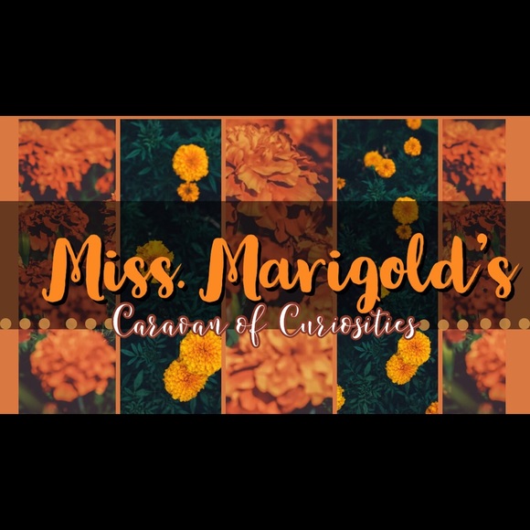 Meet your Posher, Marissa - Picture 1 of 1